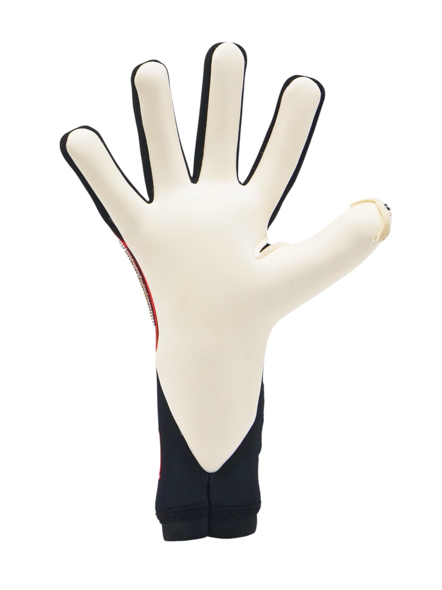 Toride Limited Edition - Afbeelding 3